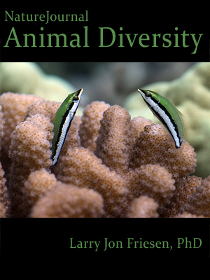  Animal Diversity 